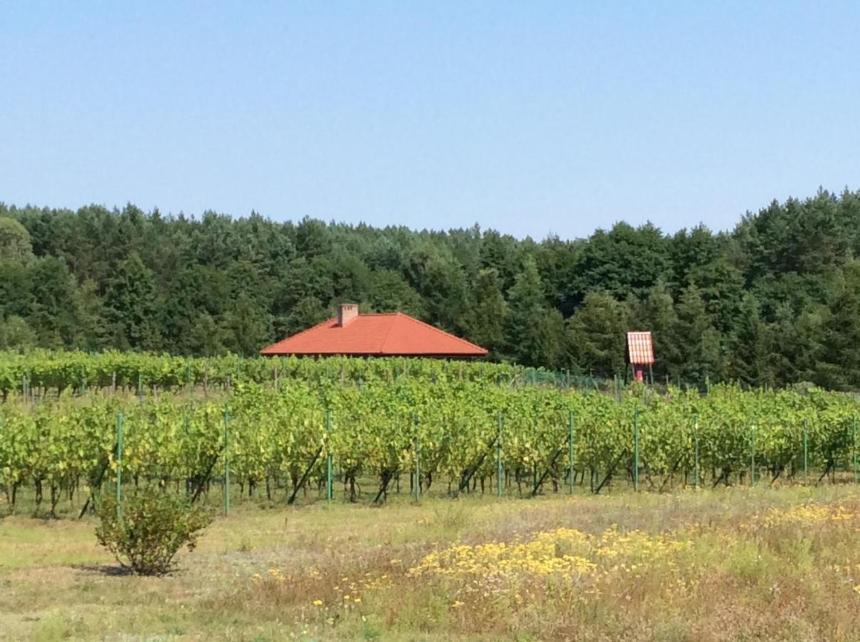 Winnica "Zabi Raj" Skarszewy Exterior photo